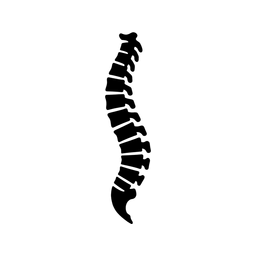 Backsafe
